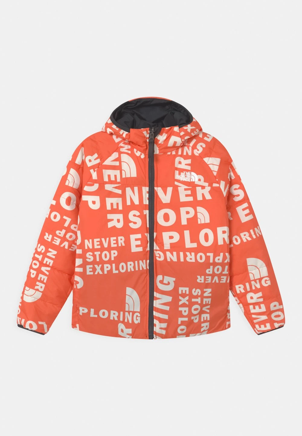 The North Face REVERSIBLE PERRITO UNISEX - Veste d'hiver Promos vêtements capuche 5 The North Face REVERSIBLE PERRITO UNISEX - Veste d'hiver Promos vêtements capuche – Image 3