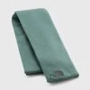 The North Face Prix Abordable NORM SCARF UNISEX - Écharpe foulards et écharpes couleur unie -THE NORTH FACE Shop 0cd40971f42a495a9bb874cf52d8eefb