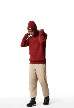 Bonne Qualité The North Face Sweat à capuche vêtements male