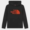 The North Face DREW PEAK HOODIE UNISEX - Sweat à capuche Prix Raisonnable vêtements fitness 2 The North Face DREW PEAK HOODIE UNISEX - Sweat à capuche Prix Raisonnable vêtements fitness -THE NORTH FACE Shop 182da675dab848519b28825938469003 1