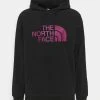 The North Face TEKNO LOGO HOODIE - Sweat à capuche Qualité Garantie vêtements snowboard male