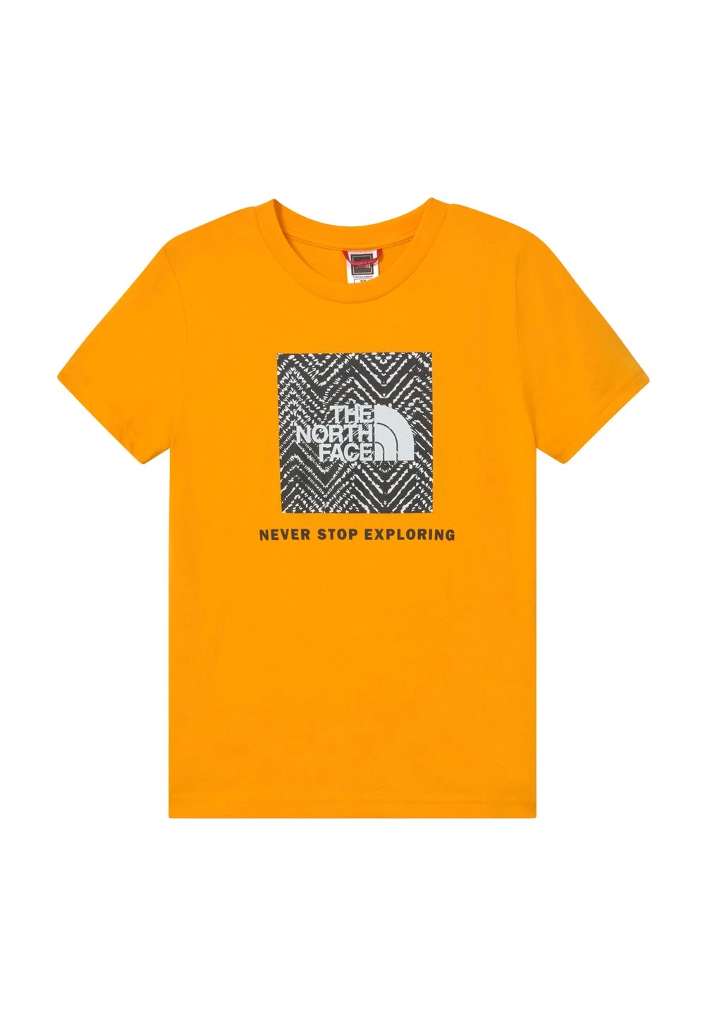The North Face Prix Gelé BOX TEE UNISEX - T-shirt imprimé vêtements randonnée 12 The North Face Prix Gelé BOX TEE UNISEX - T-shirt imprimé vêtements randonnée – Image 10
