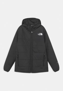 The North Face REACTOR INSULATED UNISEX - Veste d'hiver Assurance De l’Authenticité vêtements capuche
