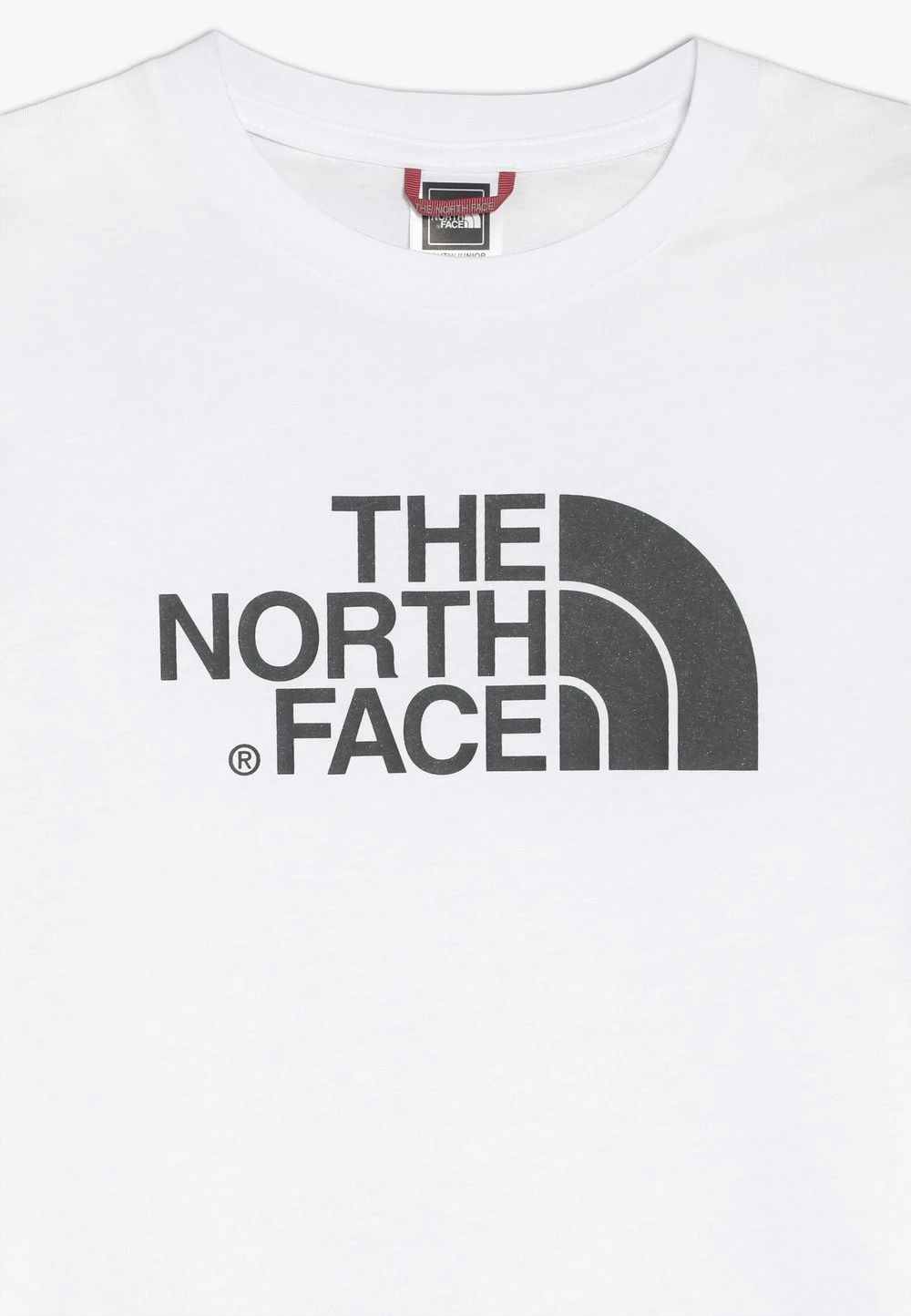 The North Face Bas Prix EASY TEE UNISEX - T-shirt imprimé vêtements fitness 6 The North Face Bas Prix EASY TEE UNISEX - T-shirt imprimé vêtements fitness – Image 4