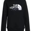 The North Face DREW PEAK HOODIE UNISEX - Sweat à capuche Prix Compétitif vêtements fitness -THE NORTH FACE Shop 343133e2ae44458f83c9eed1421a7ada 2