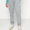 Soldes En Ligne The North Face STANDARD PANT - Pantalon de survêtement pantalons haute female