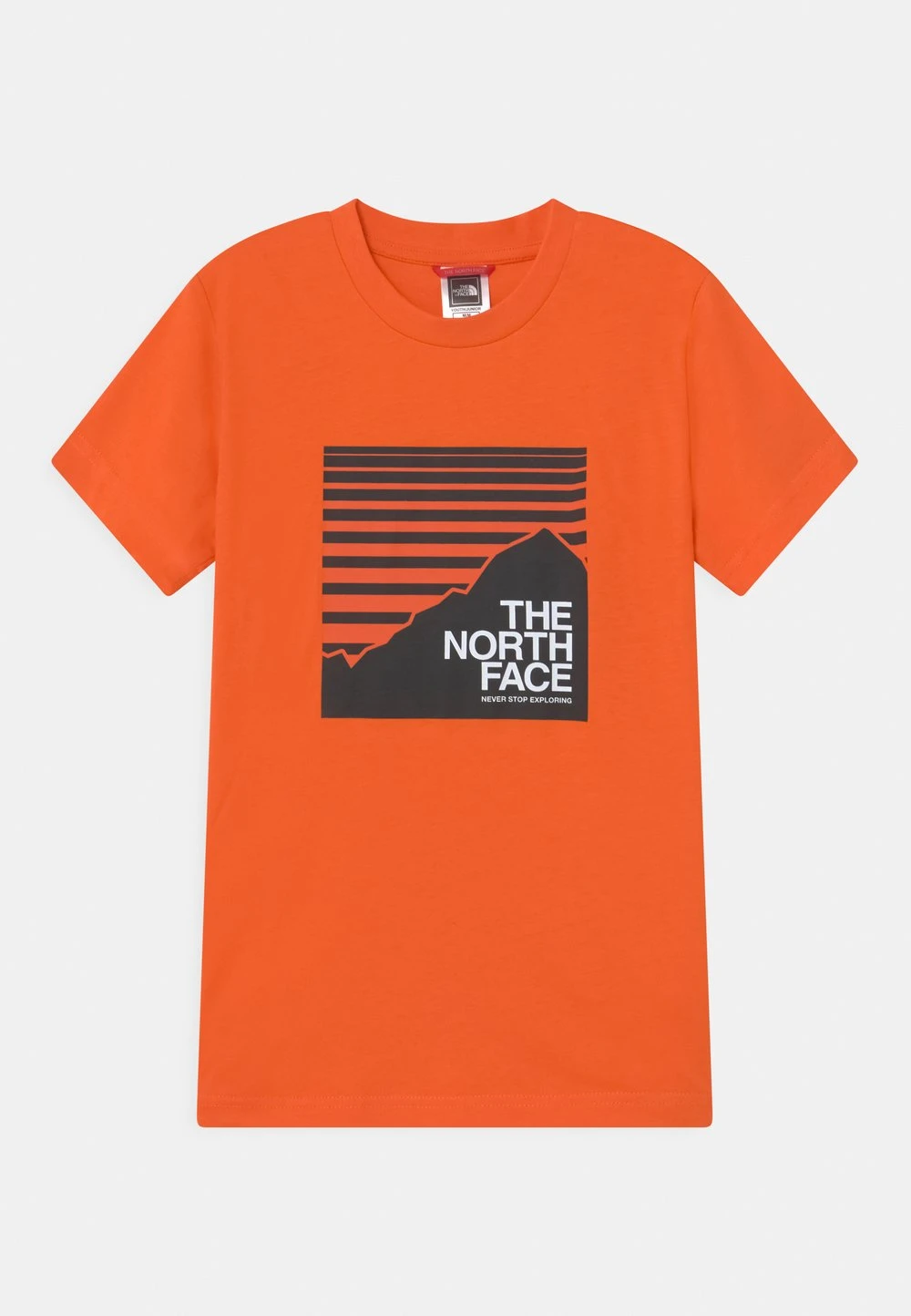 41eeb728af4c4895bed4945397459fea-3.jpg The North Face BOX TEE UNISEX - T-shirt imprimé Soldes vêtements randonnée -THE NORTH FACE Shop 41eeb728af4c4895bed4945397459fea 3
