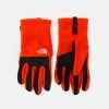 The North Face DENALI ETIP GLOVE UNISEX - Gants Vendre -THE NORTH FACE Shop 47e6709395104bd789011b42a11c3029