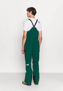Prix Sympa The North Face DRAGLINE BIB - Pantalon de ski vêtements ski alpin male -THE NORTH FACE Shop 4ace9fbc365f432283e8718864065141