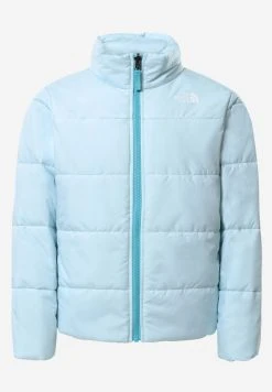 The North Face Prix Sympa Veste d'hiver manteaux et vestes capuche unisex -THE NORTH FACE Shop 4ebbefe818ad4793a06740c1c4bfb67a