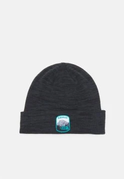 Prix Ourlé The North Face EMBROIDERED EARTHSCAPE BEANIE UNISEX - Bonnet accessoires randonn&eacute;e -THE NORTH FACE Shop 5ac26d67a6c34c4f97ea6e8da4a5a99f 1
