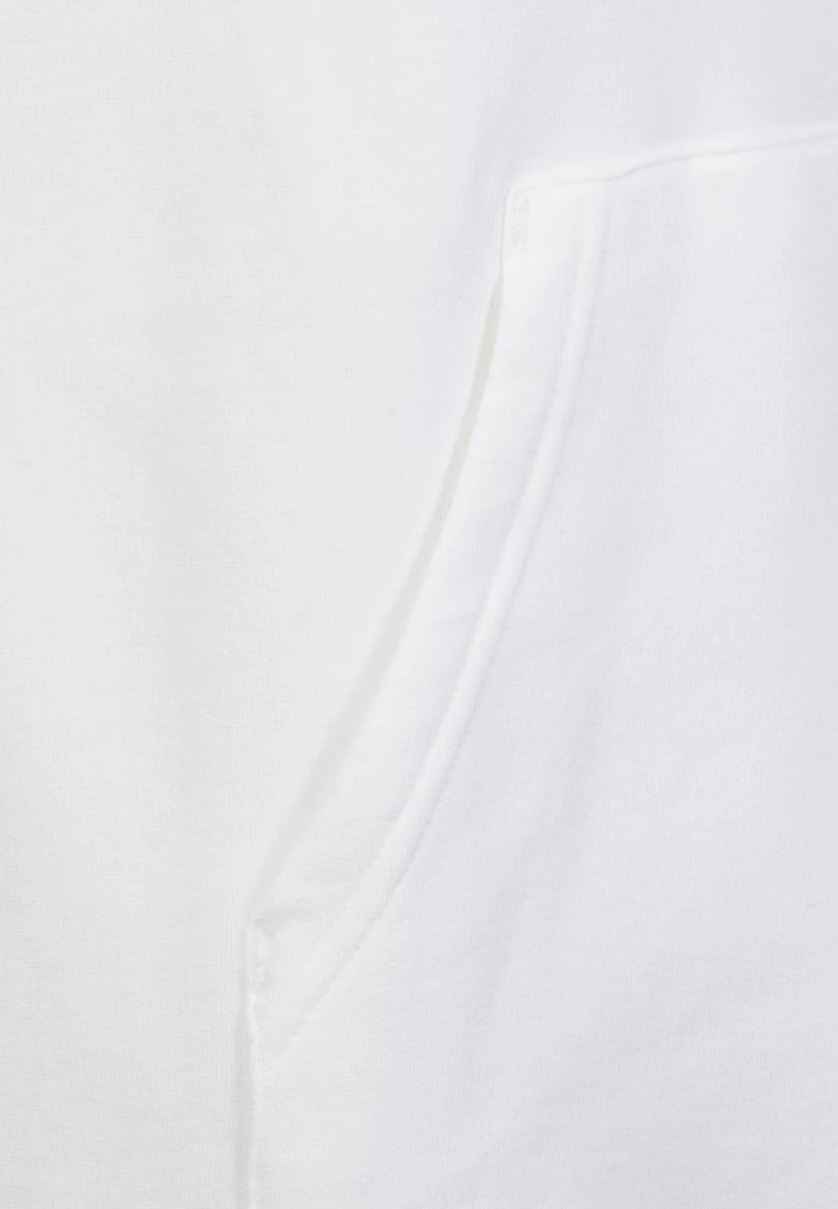 Authentique 100% The North Face DREW PEAK HOODIE - Sweat à capuche vêtements randonnée male 5 Authentique 100% The North Face DREW PEAK HOODIE - Sweat à capuche vêtements randonnée male – Image 3