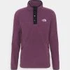 Pas Cher The North Face HOMESAFE SNAP NECK - Sweat polaire vêtements randonnée male 2 Pas Cher The North Face HOMESAFE SNAP NECK - Sweat polaire vêtements randonnée male -THE NORTH FACE Shop 649b0f64a2c64d61b4f5372f276ac422 1