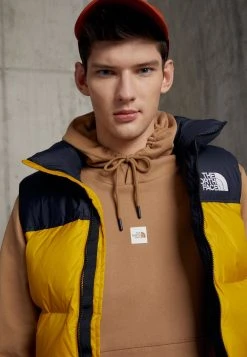 Prix Allégé The North Face CENTRAL LOGO HOODIE - Sweatshirt sweats & hoodies capuche male -THE NORTH FACE Shop 67667c4e83fa4a238a073986793f49c1