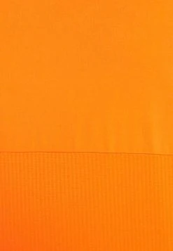 The North Face TRUE RUN - T-shirt imprimé Prix Réduit vêtements randonn&eacute;e male -THE NORTH FACE Shop 6ed54a34245f46c086a61809856524ab