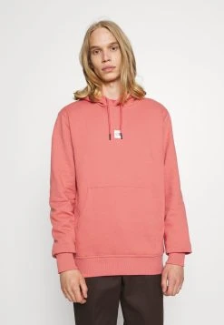 Bon Rapport Coût-Efficacité The North Face CENTRAL LOGO HOOD - Sweat à capuche pulls et gilets homme