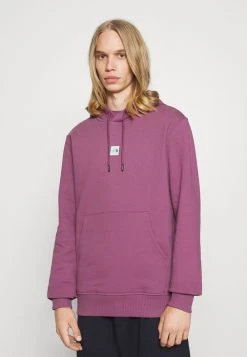 The North Face CENTRAL LOGO HOOD - Sweat à capuche Promos sweats & hoodies male