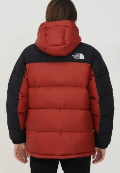 Prix Accessible The North Face Veste d'hiver vestes capuche male -THE NORTH FACE Shop 9076a4abac6c4bebb7c708b853e7961d