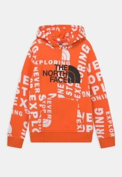 Prix Légers The North Face DREW PEAK HOODIE UNISEX - Sweat à capuche vêtements fitness -THE NORTH FACE Shop 9f2706f6691d41038228475bf4f78589 4