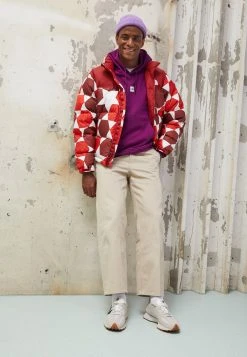 Prix Allégé The North Face CENTRAL LOGO HOODIE - Sweatshirt sweats & hoodies capuche male -THE NORTH FACE Shop 9fc86049e3d343ffa9d6da19c671009e