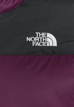 Prix Usine The North Face DIABLO HOODIE - Doudoune vêtements randonn&eacute;e female -THE NORTH FACE Shop a1c74e34e9c243798ab028bdc0d91604