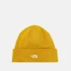 Qualité Supérieure The North Face NORM BEANIE UNISEX - Bonnet casquettes, bonnets et chapeaux couleur unie