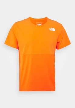 The North Face TRUE RUN - T-shirt imprimé Prix Réduit vêtements randonn&eacute;e male -THE NORTH FACE Shop a846d23ff765420ba03e861ec721556d