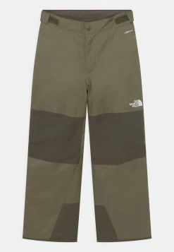 The North Face FREEDOM INSULATED - Pantalon de ski Soldes En Ligne vĂȘtements ski alpin enfant