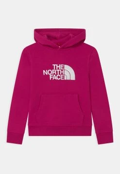 Prix Légers The North Face DREW PEAK HOODIE UNISEX - Sweat à capuche vêtements fitness -THE NORTH FACE Shop b7f182eeb81d47e98aea8e1a8e1026d1 4