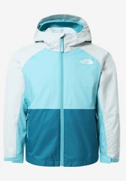 The North Face Prix Sympa Veste d'hiver manteaux et vestes capuche unisex -THE NORTH FACE Shop b9f28458cf764d6db1564e6a6b9bcc44