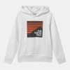 Prix Abordable The North Face BOX HOODIE UNISEX - Sweat à capuche vêtements &eacute;lastiqu&eacute;e -THE NORTH FACE Shop bd1376fedfd84764b732b3213b9bab98 1