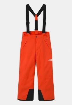 The North Face SNOWQUEST SUSPENDER UNISEX - Pantalon de ski Prix CompĂ©titif vĂȘtements ski alpin
