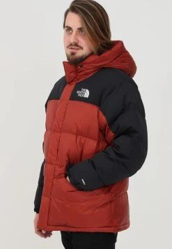 Prix Accessible The North Face Veste d'hiver vestes capuche male -THE NORTH FACE Shop f310706c451146a7a44a1ddfb8d28b58
