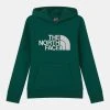 Prix Légers The North Face DREW PEAK HOODIE UNISEX - Sweat à capuche vêtements fitness
