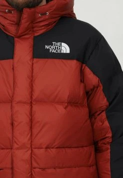 Prix Accessible The North Face Veste d'hiver vestes capuche male -THE NORTH FACE Shop f63ef39012304886a28fc70bd07bdcc7